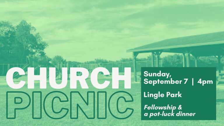 Picnic 25